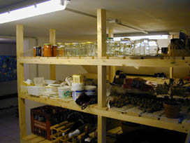 18220092.jpg - 13750 Bytes
