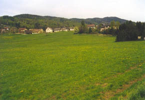 Meadow spring 1998