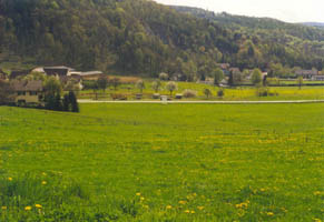 Meadow spring 1998